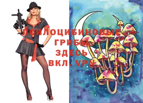 ешки Алзамай