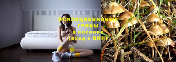 мескалин Алексин